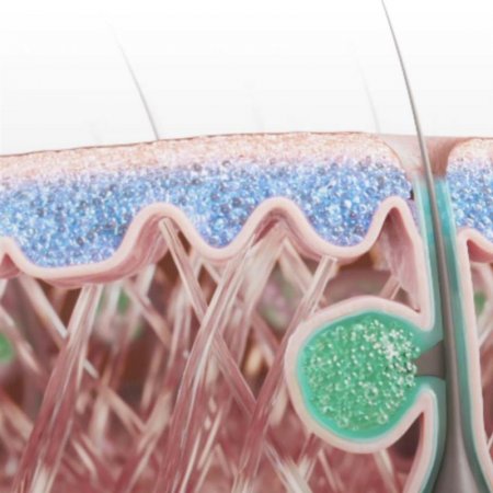 Producto bioderma laboratorio dermatologico 