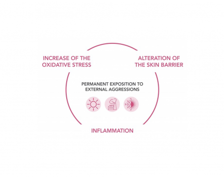 Schéma inflamm'ageing.jpeg